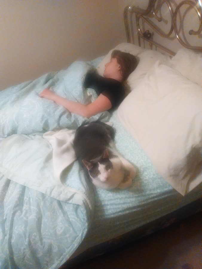bed additional