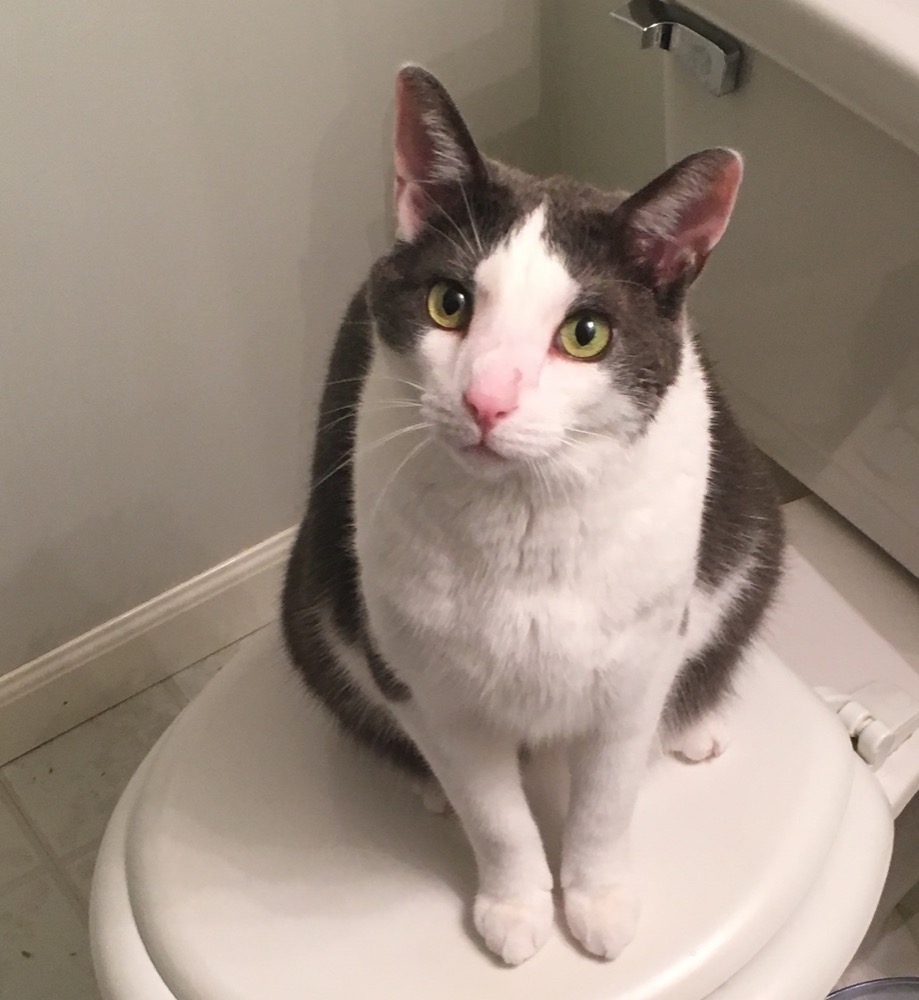 Bathroom supervision was apparently part of the job.