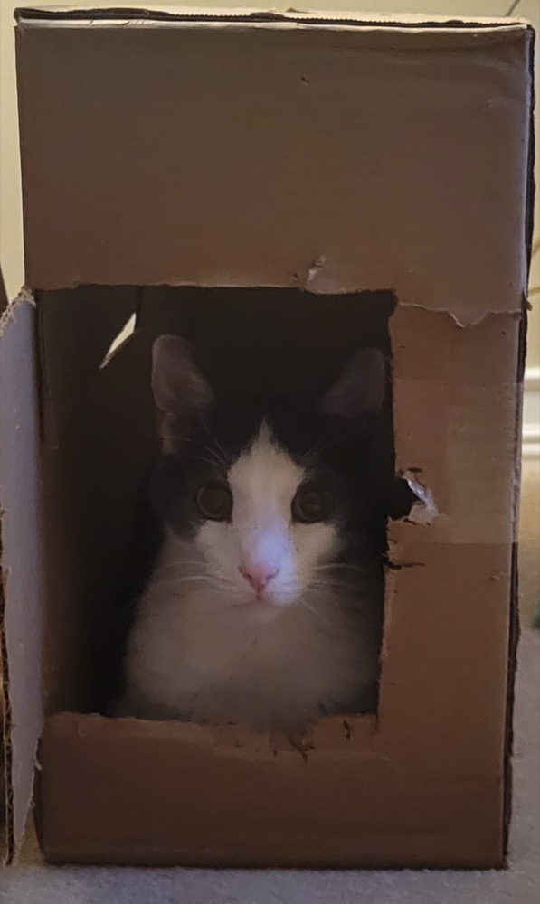 A new box passed inspection and changed ownership immediately.