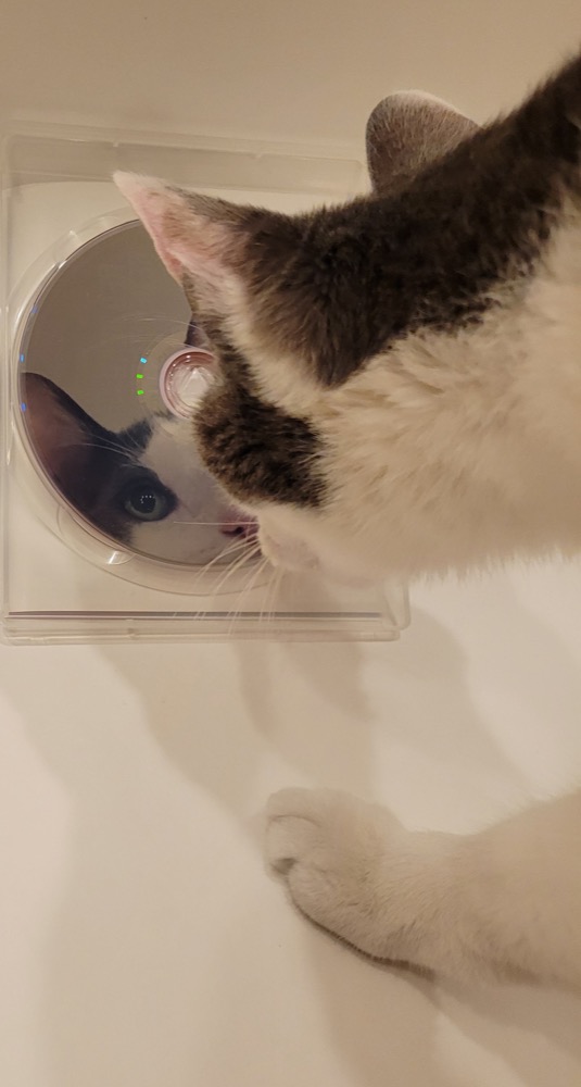 Keeping watch beside a little piece of music history.
