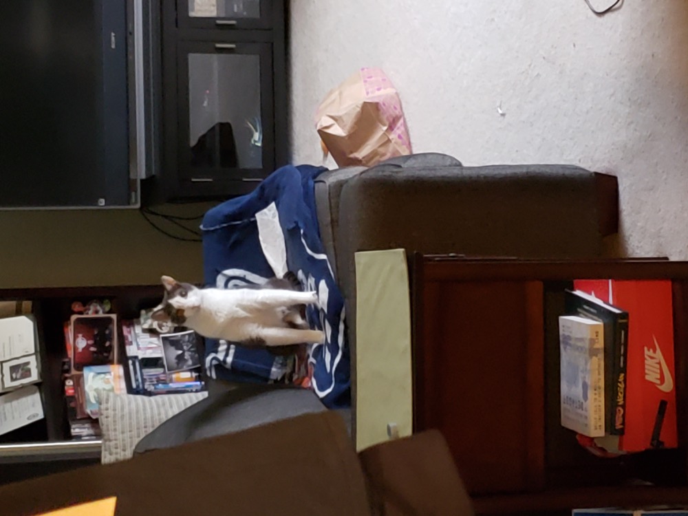 The couch was his; everyone else merely had visiting privileges.