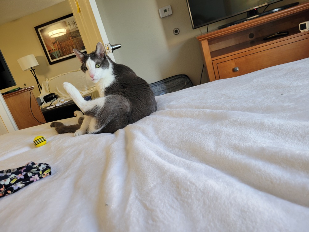 Florida accommodations approved after a thorough bed inspection.