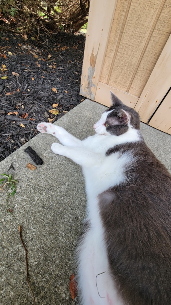 Fresh air and another careful survey of the yard.