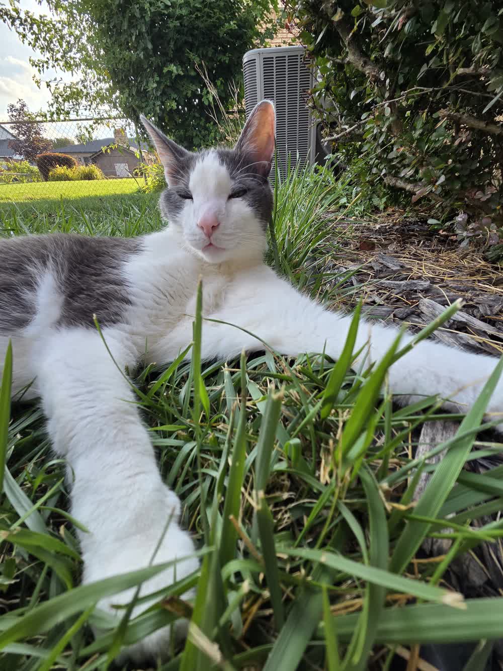 An outdoor selfie, with his kingdom behind him.