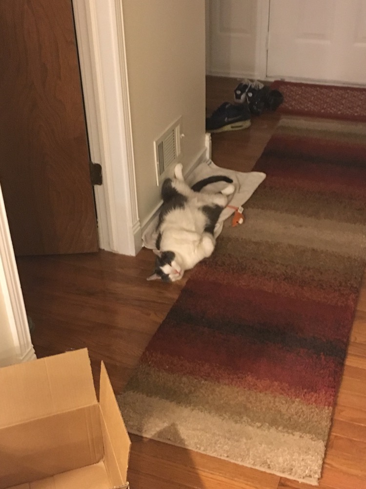 Completely comfortable and in absolutely no hurry.