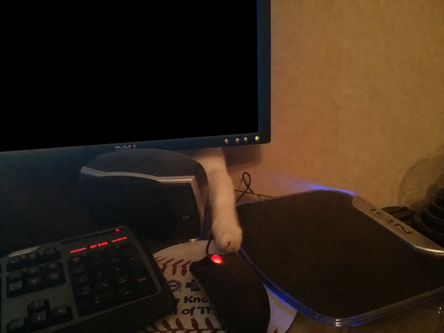 Vader helping at the computer