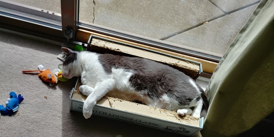 sleepinginthesun