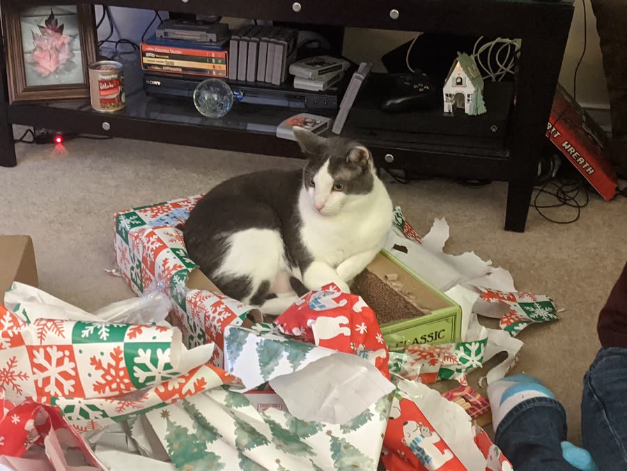Vader christmas 1