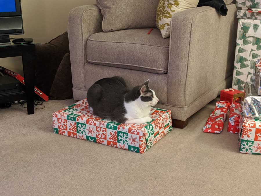Vader christmas 2
