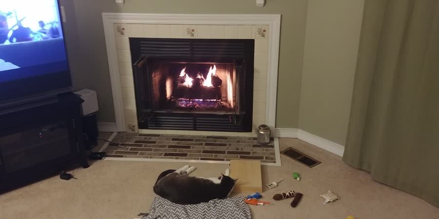 Vader fireplace