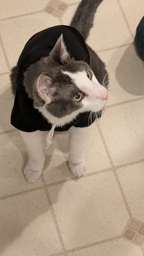 Vader hoody 2