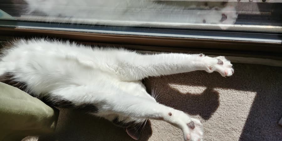 Vader stretch