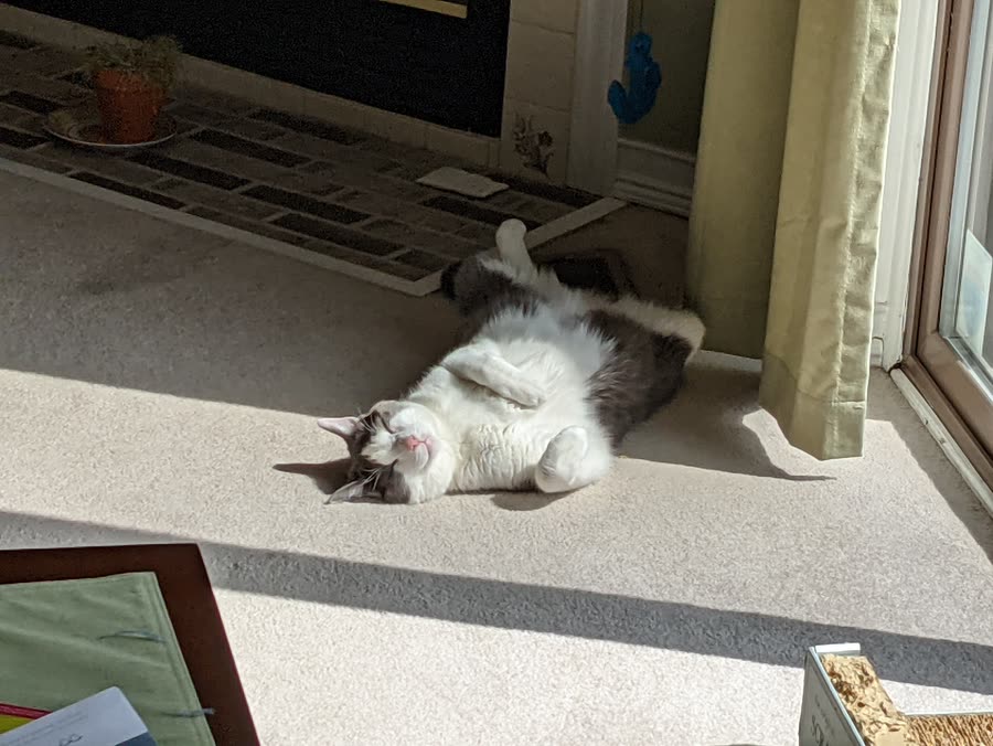 Vader sleeping 2