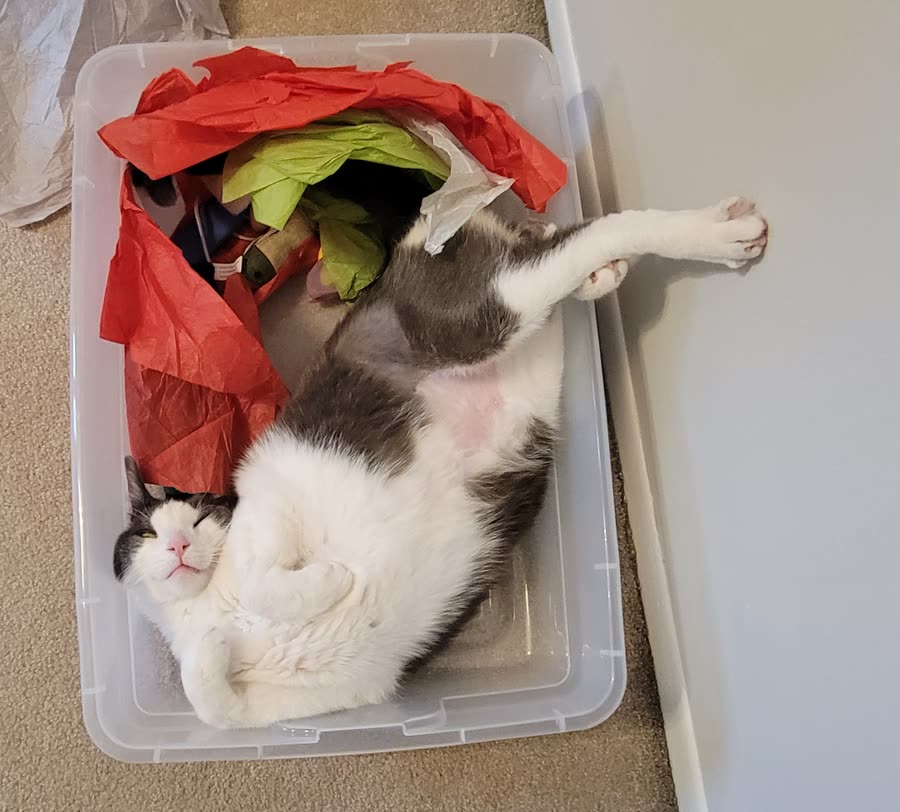 Vader sleeping 3