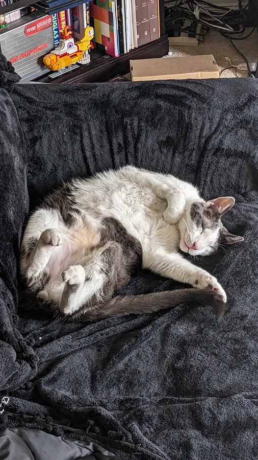Vader sleeping 4