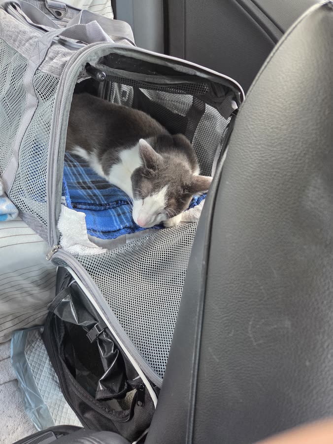 Vader sleeping 7