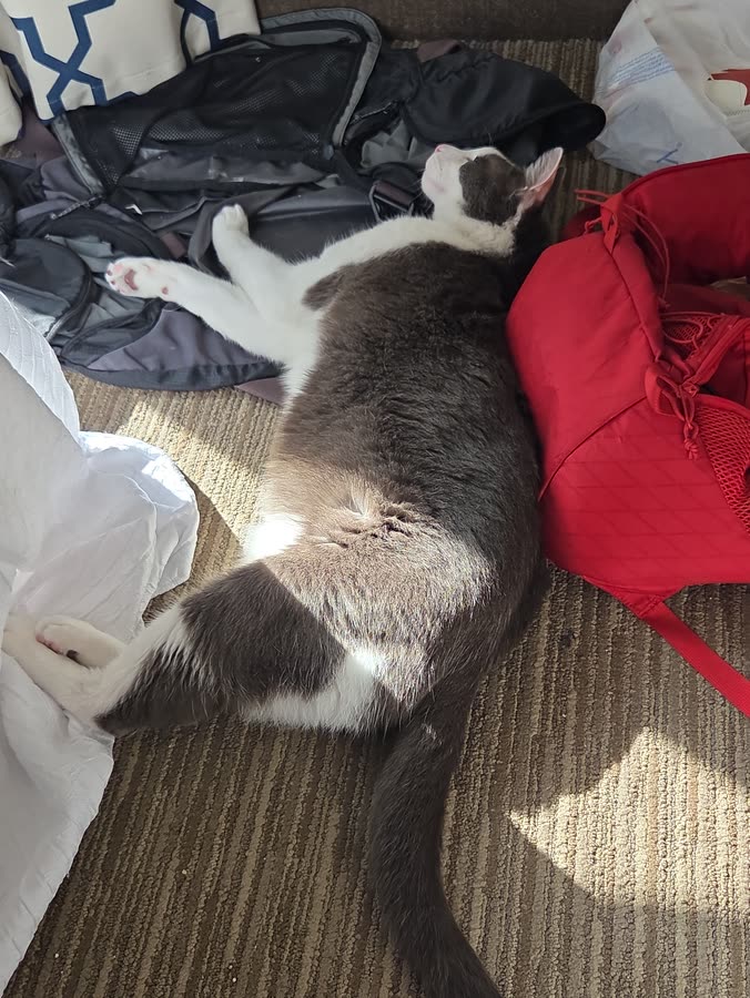 Vader sleeping 8